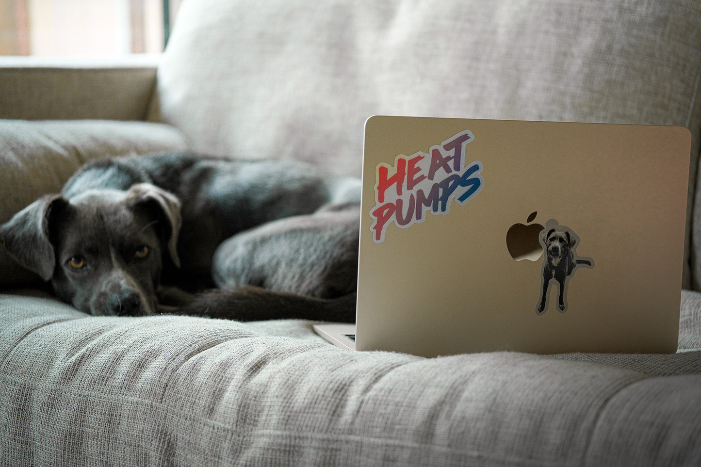 Holographic die-cut sticker